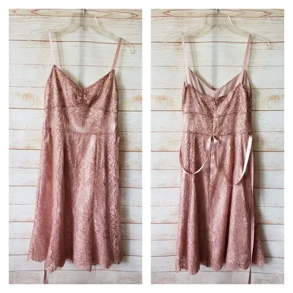 Ann Taylor Lace Metallic Ribbon Strap Dress Eyelash Lace Hem Size 6 Blush Pink - Picture 2 of 13